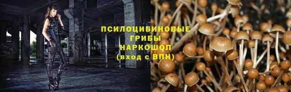 стафф Аркадак